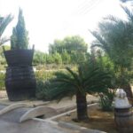 From Alicante: Family Winery for Three Generations - An In-Depth Look at the Itinerary