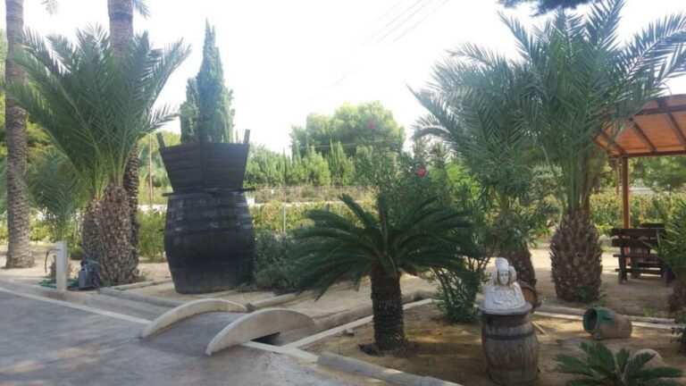 From Alicante: Family Winery for Three Generations - An In-Depth Look at the Itinerary