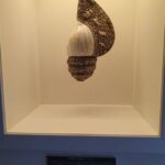 From Alicante: to the caves in Europe, Canelobre. Gidovik - A Closer Look at the Tour Itinerary