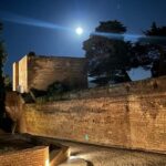 From Almuñécar: Granada Day Trip with Alhambra and Cathedral - An In-Depth Look at the Granada Day Trip