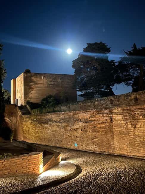 From Almuñécar: Granada Day Trip with Alhambra and Cathedral - An In-Depth Look at the Granada Day Trip