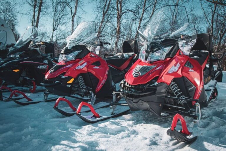 From Alta: Daytime Snowmobile Adventure - The Itinerary: What to Expect on Your Snowmobile Tour