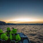 From Alta: Small Group Whale Watching by RIB - Why This Tour Matters