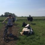 From Amsterdam: Countryside Bike Tour - Who Is This Tour Best For?