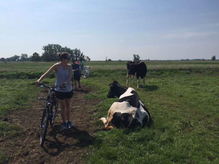 From Amsterdam: Countryside Bike Tour - Who Is This Tour Best For?