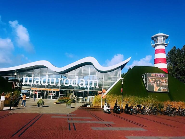 From Amsterdam: Day Tour to Rotterdam, Delft and The Hague - Is This Tour Worth It? Analyzing the Value