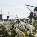From Amsterdam: Kinderdijk, Delft & Mauritshuis Private Tour - Windmills at Kinderdijk: A Dutch Icon