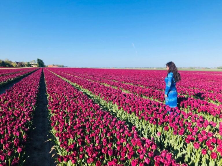 From Amsterdam: Tulip Tour Keukenhof & City Tour Delft - Final Thoughts