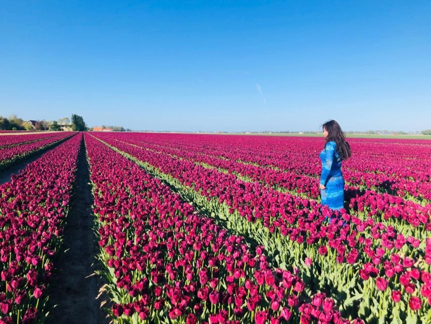 From Amsterdam: Tulip Tour Keukenhof & City Tour Delft - Final Thoughts