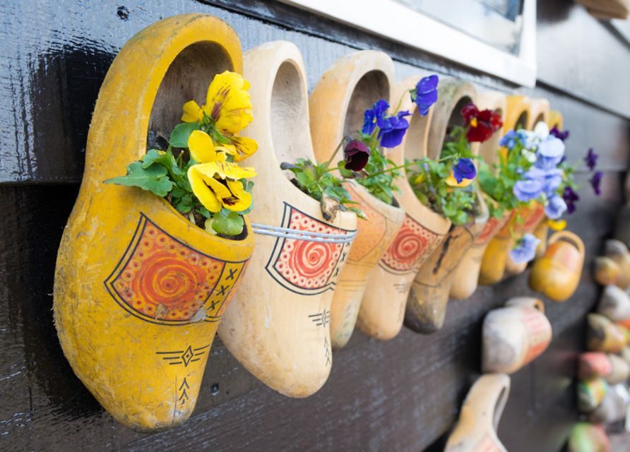 From Amsterdam: Windmills of Zaanse Schans Tour in Spanish - What to Keep in Mind