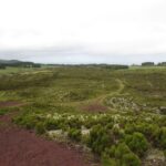 From Angra: Terceira Island Full-Day Jeep Tour (Shared Tour) - FAQ