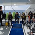 From Antalya| Kemer: Diving Tour with Experienced Instructor - The Sum Up