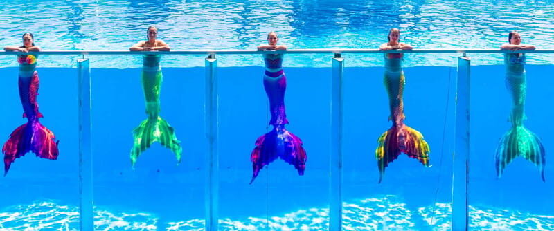 From Antalya/Kemer: Dolusu Park (Medium Package) - The Location and How to Get There