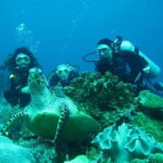 From Antalya: Scuba Diving With Lunch and Transfer - What to Bring and Consider Before Booking