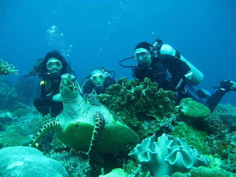 From Antalya: Scuba Diving With Lunch and Transfer - What to Bring and Consider Before Booking