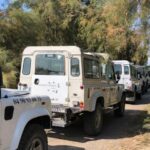 From Arles: Half-Day 4x4 Camargue Safari - Who Will Love This Tour?