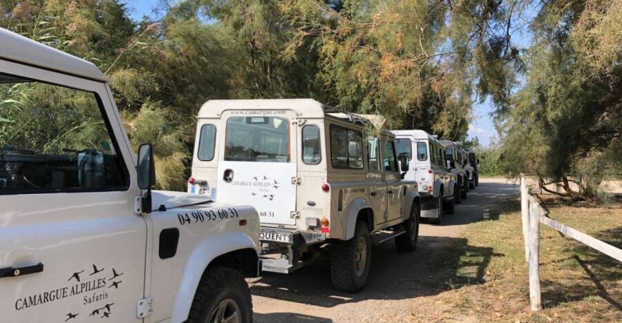 From Arles: Half-Day 4x4 Camargue Safari - Who Will Love This Tour?