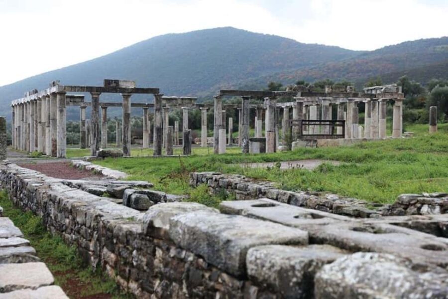 From Athens: Ancient Messene Full-Day Private Tour - The Value Proposition