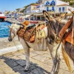 From Athens: Hydra, Poros, and Aegina Day Cruise with Lunch - Authentic Insights from Travelers