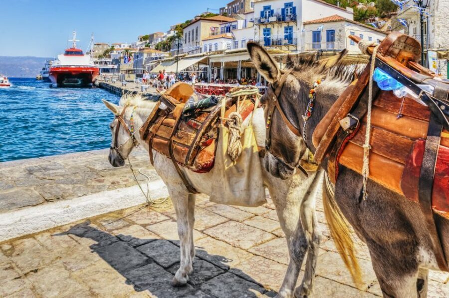 From Athens: Hydra, Poros, and Aegina Day Cruise with Lunch - Authentic Insights from Travelers