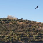 From Athens: Temple of Poseidon Private Couples Trip - Why Choose This Tour?