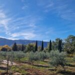 From Avignon: Full-Day E-Bike Tour in the Luberon Region - Final Thoughts
