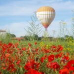 From Barcelona: Half-Day Hot Air Balloon Flight Ticket - What to Expect from Your Hot Air Balloon Flight