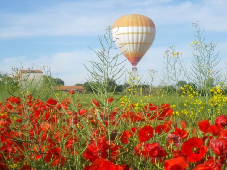 From Barcelona: Half-Day Hot Air Balloon Flight Ticket - What to Expect from Your Hot Air Balloon Flight