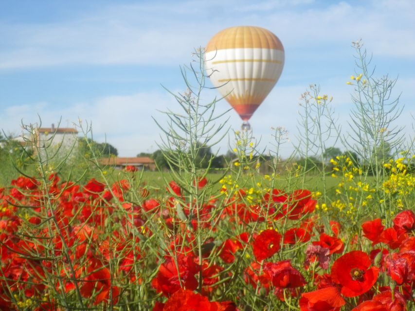 From Barcelona: Half-Day Hot Air Balloon Flight Ticket - What to Expect from Your Hot Air Balloon Flight