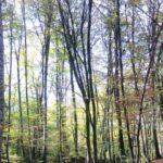 From Barcelona: Medieval Villages and Volcanic Hiking Tour - Who Will Love This Tour?