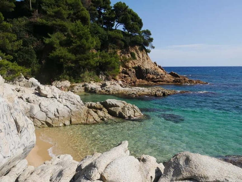 From Barcelona: Private Costa Brava Guided Tour - Transportation and Group Size