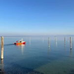 From Basel: 4 Countries and Lake Bodensee Private Car Tour - The Itinerary: A Well-Curated Exploration