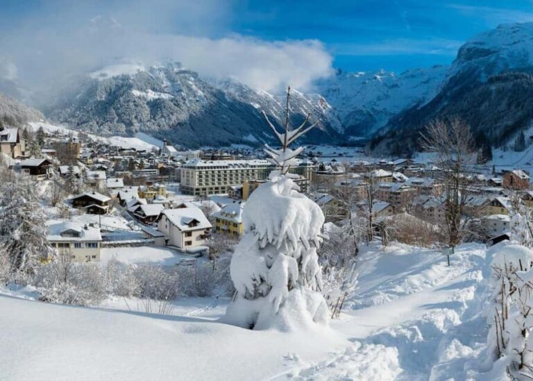 From Basel: Mount Titlis & Lucerne City in Private Day Trip - Practical Details & Insights