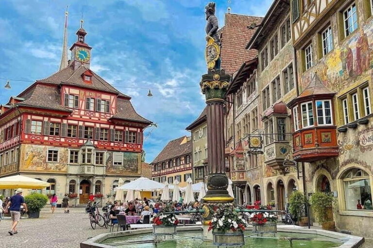 From Basel: Private Day Trip To Europe's Largest Falls - Insights from Travel Reviews and Details