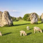 From Bath: Stonehenge & the Cotswolds Day Tour with Entry - What Makes This Tour Stand Out?