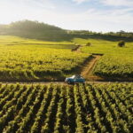 From Beaune: Burgundy Grands Crus Road Tour in a Classic Car - The Sum Up