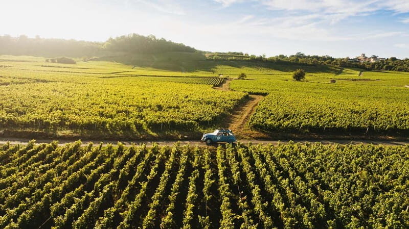 From Beaune: Burgundy Grands Crus Road Tour in a Classic Car - The Sum Up