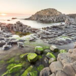 From Belfast: Giants Causeway and Game of Thrones Day Tour - The Real Value of the Tour