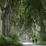 From Belfast: Giant's Causeway and Game of Thrones Tour - Practical Details & Value
