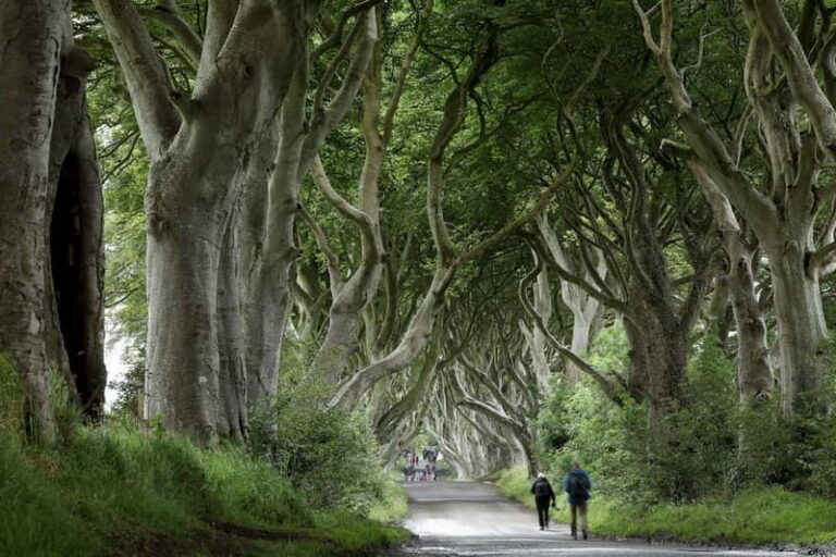 From Belfast: Giant's Causeway and Game of Thrones Tour - Practical Details & Value