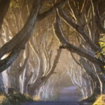 From Belfast: Giant's Causeway and Titanic Belfast Tour - Transportation, Guides, and Overall Value