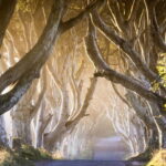 From Belfast: Giant's Causeway & Titanic Experience Belfast - Who Will Love This Tour?