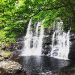 From Belfast: Private Tour of the Glens & Giants Causeway - What’s Included and What’s Not