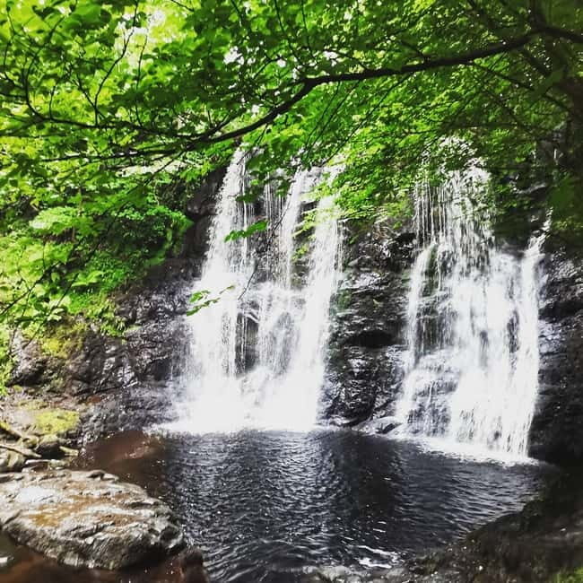 From Belfast: Private Tour of the Glens & Giants Causeway - What’s Included and What’s Not