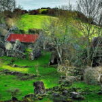 From Belfast: The Gobbins Cliff walk and Glens of Antrim - Why You Should Consider This Tour