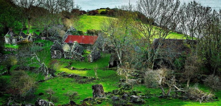 From Belfast: The Gobbins Cliff walk and Glens of Antrim - Why You Should Consider This Tour