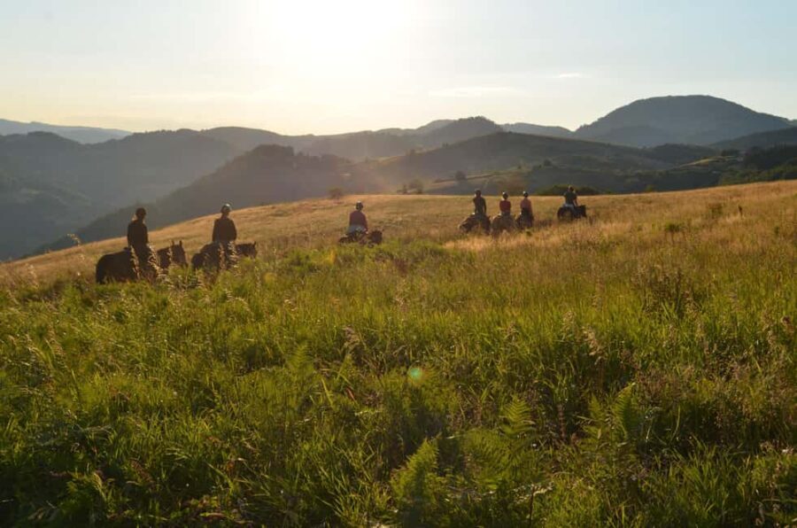 From Belgrade: 6-Day umadija Trail Horseback Riding Tour - What’s Included and What to Consider
