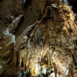 From Belgrade: Full-Day Resava Cave & Medieval Monasteries - Practical Details & Experience Insights