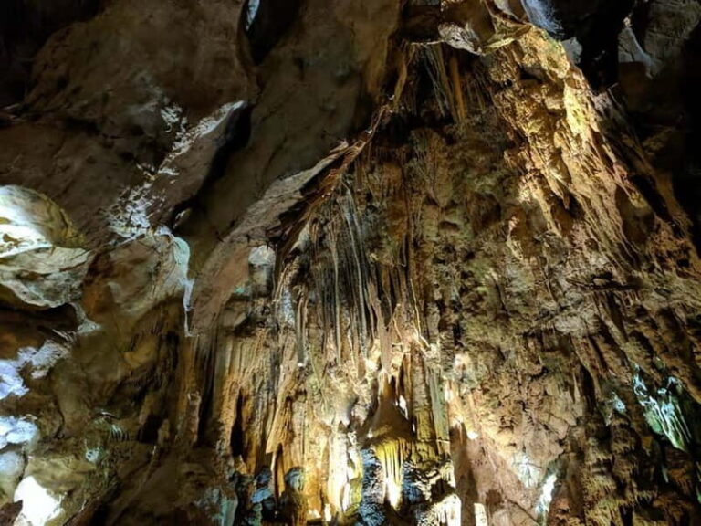 From Belgrade: Full-Day Resava Cave & Medieval Monasteries - Practical Details & Experience Insights