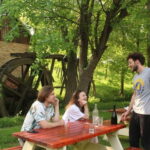 From Belgrade or Novi Sad: Private Wine Tour in Fruska Gora - Who Is This Tour Best Suited For?